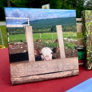 Hereford Calf at Feeder Edmonston Farm Canvas Print 8x8 Holiday Gift Farmhouse